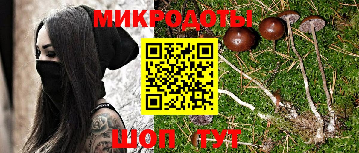Галлюциногенные грибы Psilocybine cubensis Пыть-Ях